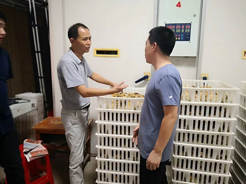 首席专家安徽农业大学博士生导师姜润深教授现场指导工作