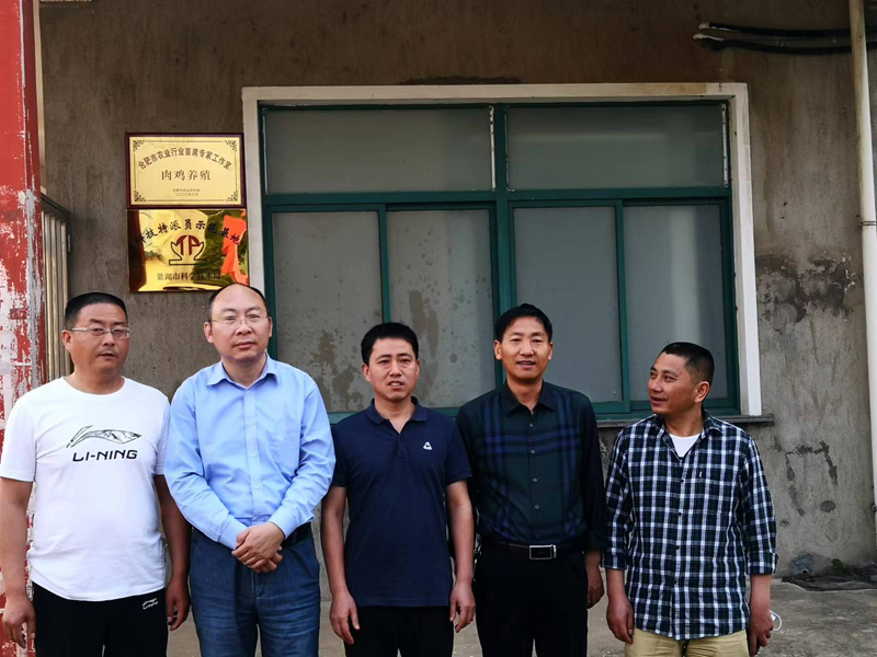 县市主管领导视察