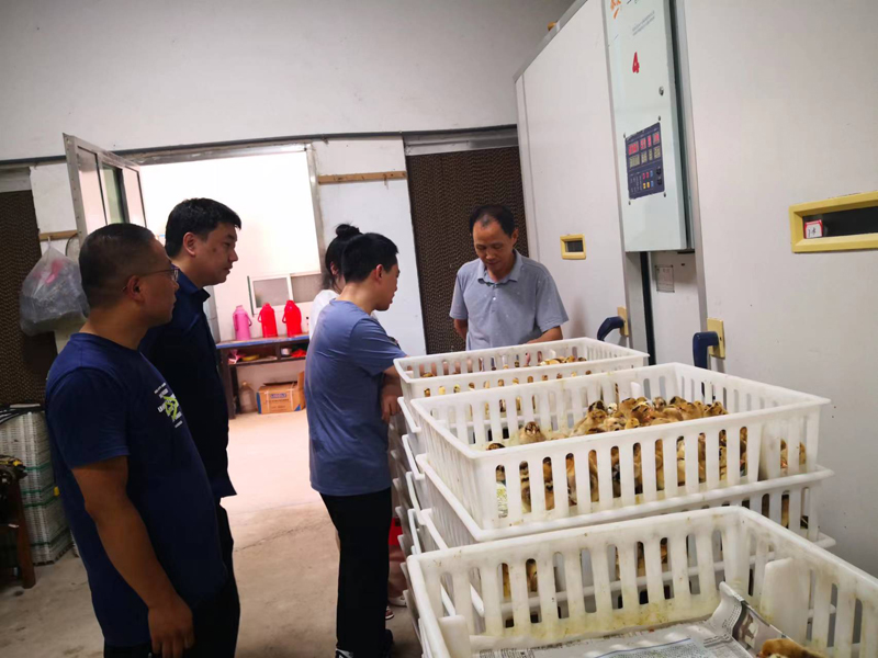 县市主管领导视察