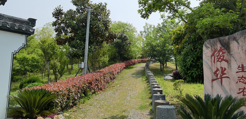 公司自建农民公园