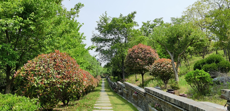 公司自建农民公园