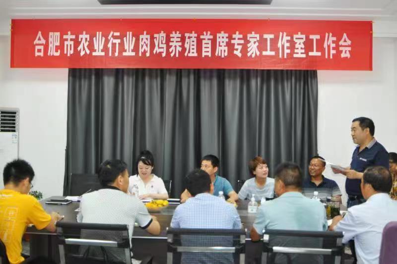 科技强农!安农大教授助力巢湖市畜牧业种业发展提质增效